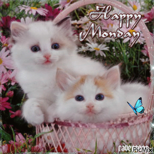 10 Popular Monday Gifs To Start The Week Right - picture 4