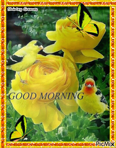 10 Popular & Beautiful Good Morning Gifs To Love In 2023 - picture 10