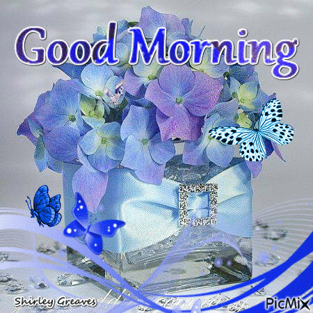 10 Popular & Beautiful Good Morning Gifs To Love In 2023 - picture 11