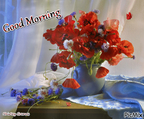 10 Popular & Beautiful Good Morning Gifs To Love In 2023 - picture 4