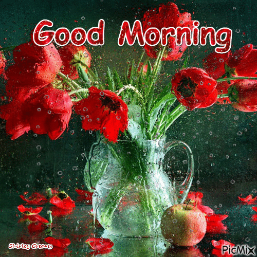 10 Popular & Beautiful Good Morning Gifs To Love In 2023 - picture 5