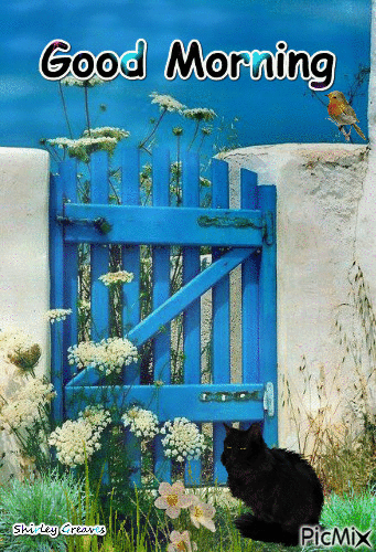 10 Popular & Beautiful Good Morning Gifs To Love In 2023 - picture 6