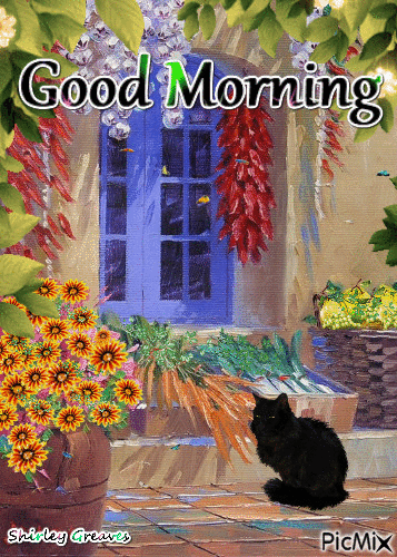 10 Popular & Beautiful Good Morning Gifs To Love In 2023 - picture 9