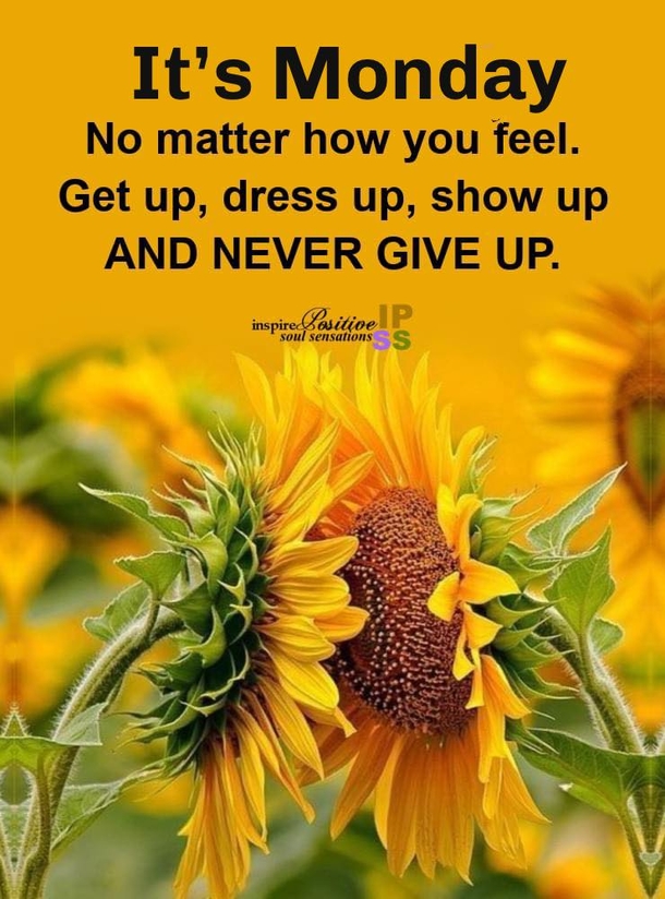 10 Positive, Beautiful & Inspiring Monday Quotes To Bless Your Monday - picture 3
