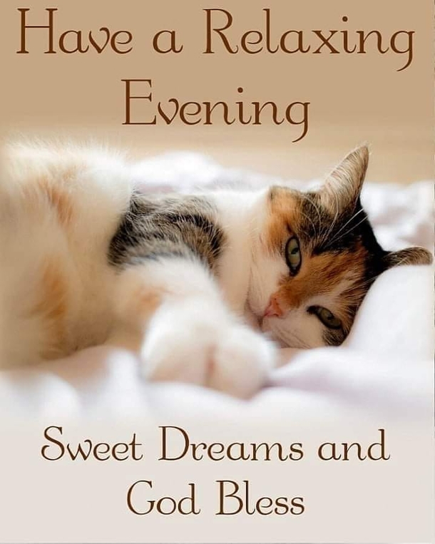 10 Positive Good Evening / Good Night Wishes For 2023 - picture 12