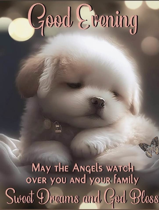 10 Positive Good Evening / Good Night Wishes For 2023 - picture 3