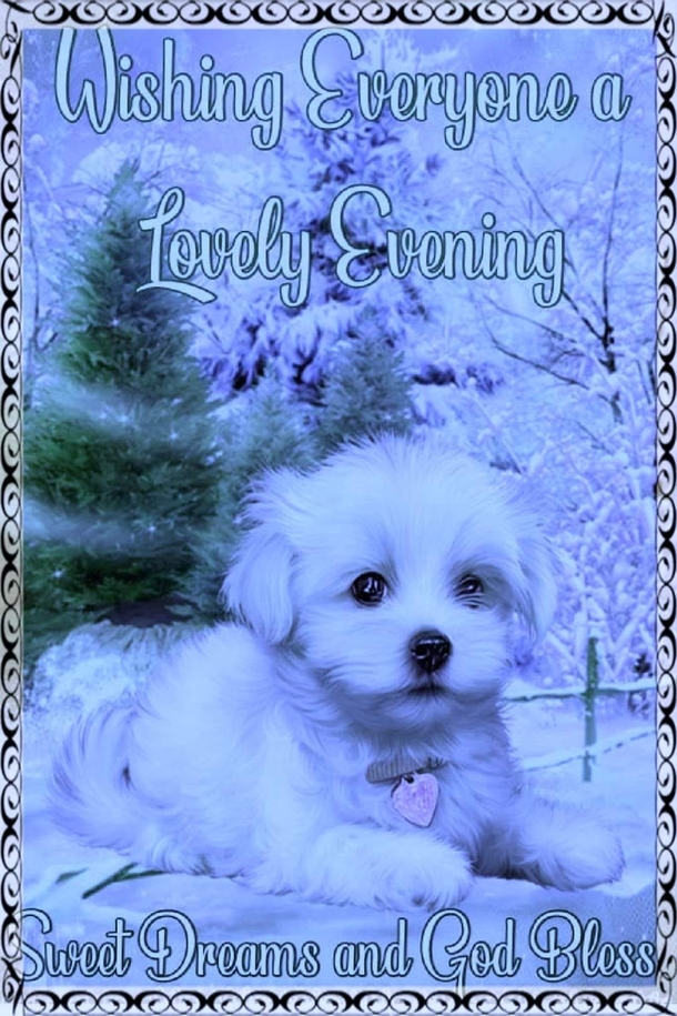10 Positive Good Evening / Good Night Wishes For 2023 - picture 5
