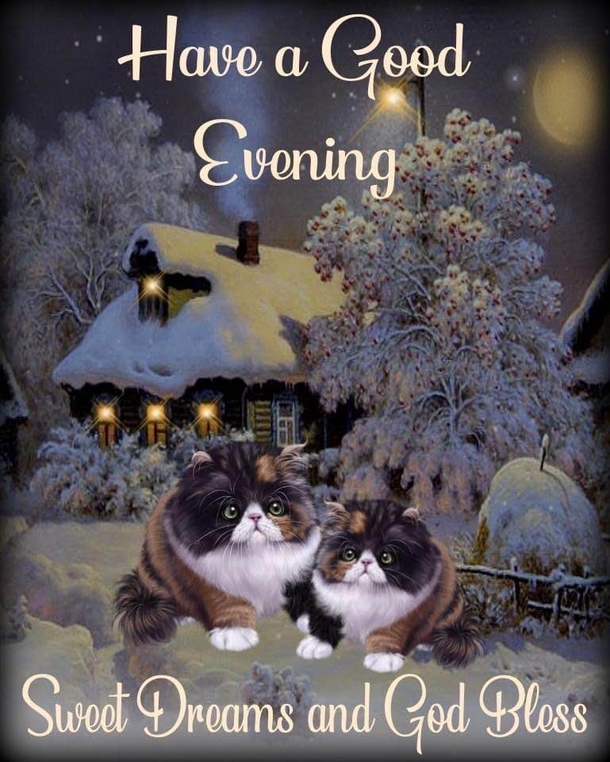 10 Positive Good Evening / Good Night Wishes For 2023 - picture 7