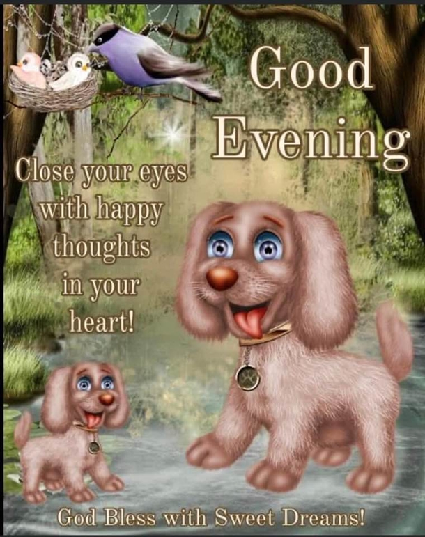 10 Positive Good Evening / Good Night Wishes For 2023 - picture 8