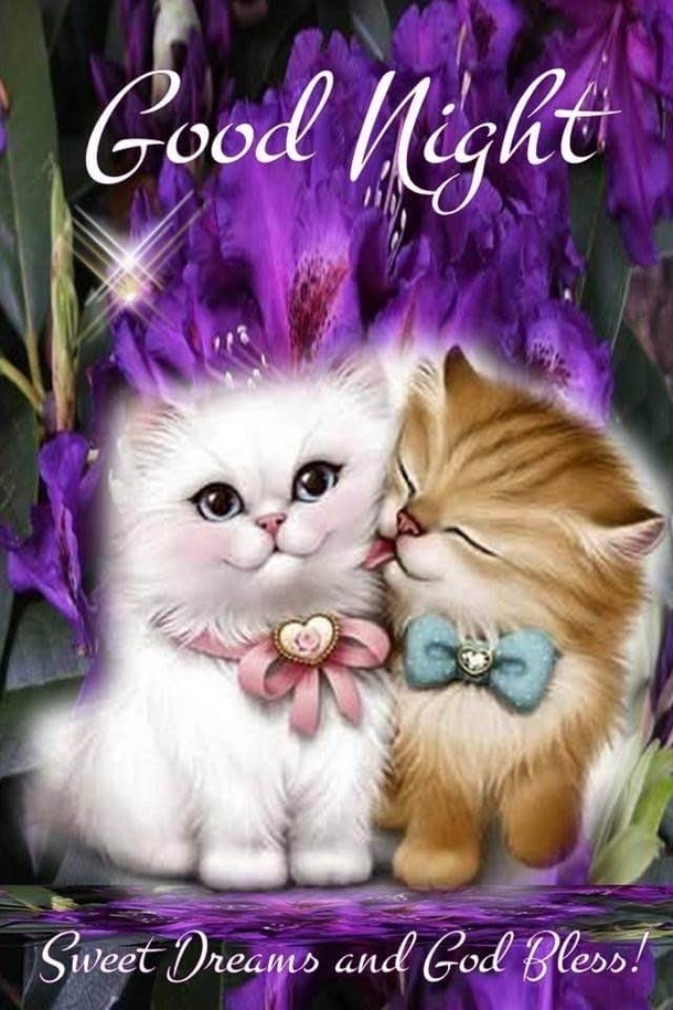 10 Positive Good Evening / Good Night Wishes For 2023 - picture 9
