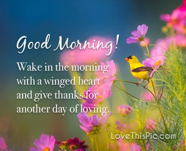 10 Positive Good Morning Messages To Help You Push Through Your Day - picture 3