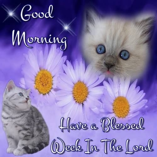10 Positive Monday Blessings & Messages - picture 7