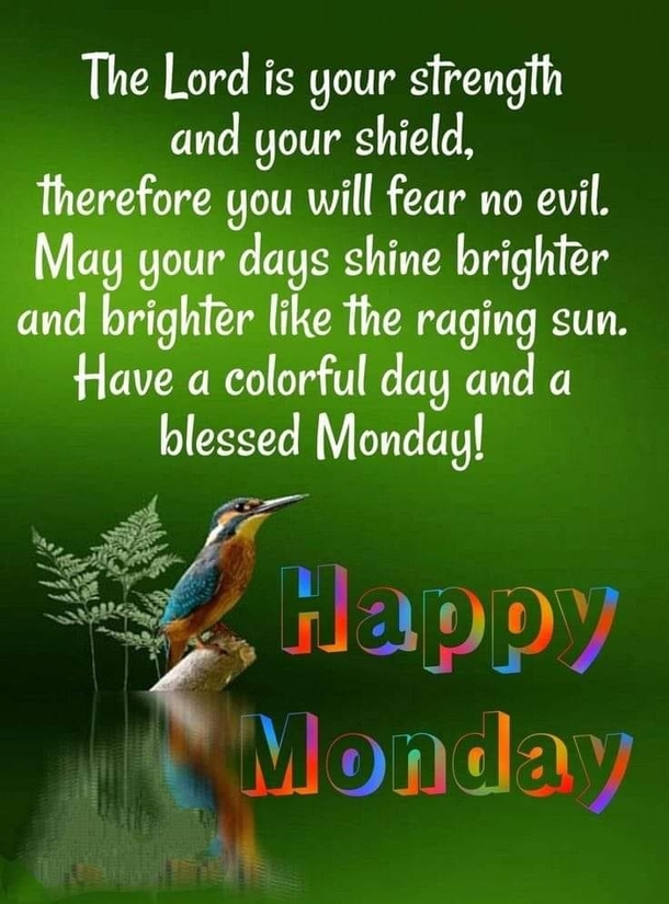 10 Positive Monday Quotes Of The Day To Inspire A Beautiful Week - picture 12