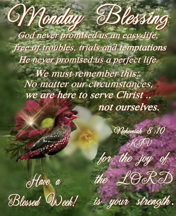 10 Positive Monday Quotes Of The Day To Inspire A Beautiful Week - picture 3