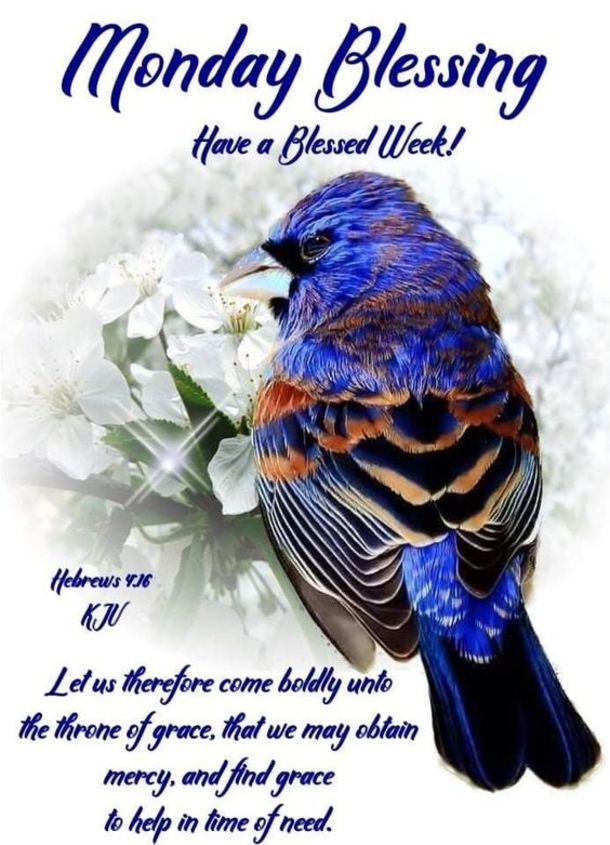 10 Positive & Inspirational Monday Blessing Quotes - picture 5