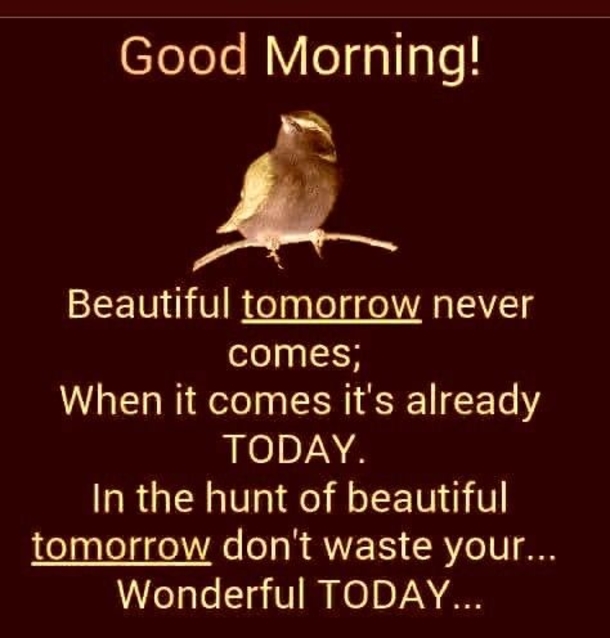 10 Positively Amazing Good Morning Images - picture 2