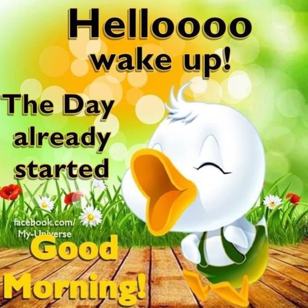 10 Positively Amazing Good Morning Images - picture 4