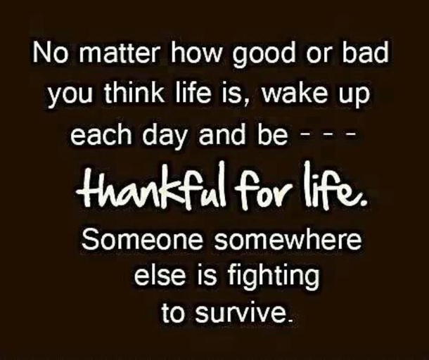 10 Powerful Everyday Quotes To Live By - picture 8