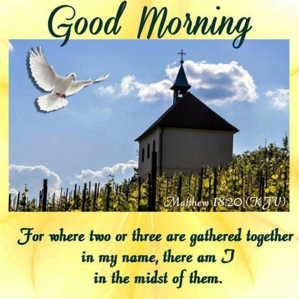 10 Powerful Good Morning Quotes, Sayings & Greetings - picture 3