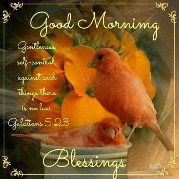 10 Powerful Good Morning Quotes, Sayings & Greetings - picture 5