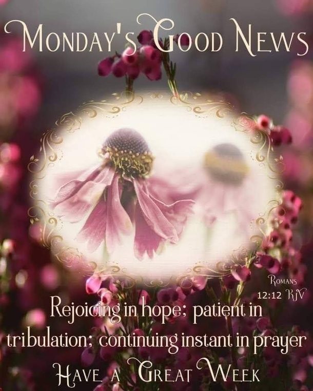 10 Powerful Inspiring Monday Quotes For 2022 - picture 3