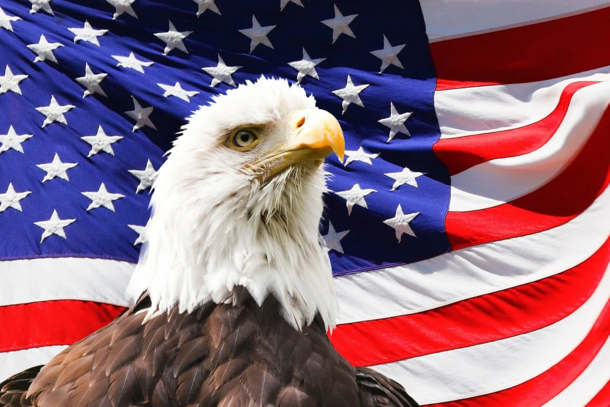 10 Powerful Memorial Day Photography Images - picture 4