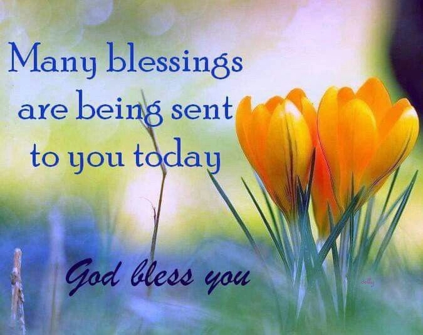 10 Powerful Messages About Life's Blessings - picture 2