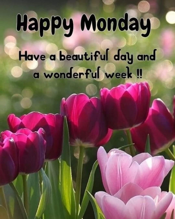 10 Powerful Monday Quotes And Sayings - picture 8
