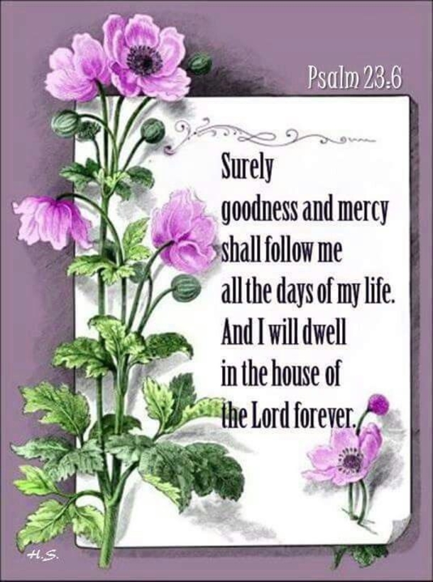 10 Powerful Scriputures To Bless You - picture 10
