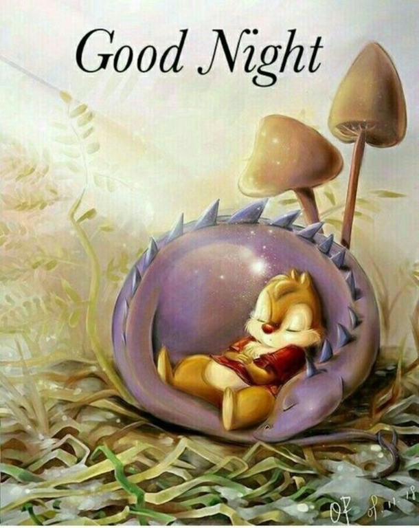 10 Precious Good Night Quotes, Images And Sayings - picture 12