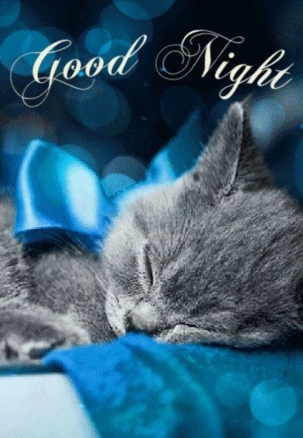 10 Precious Good Night Quotes, Images And Sayings - picture 2