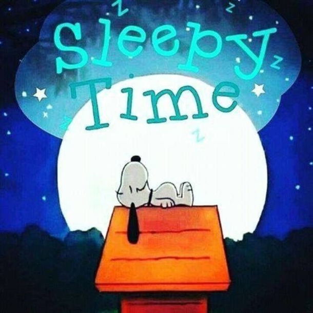 10 Precious Good Night Quotes, Images And Sayings - picture 3