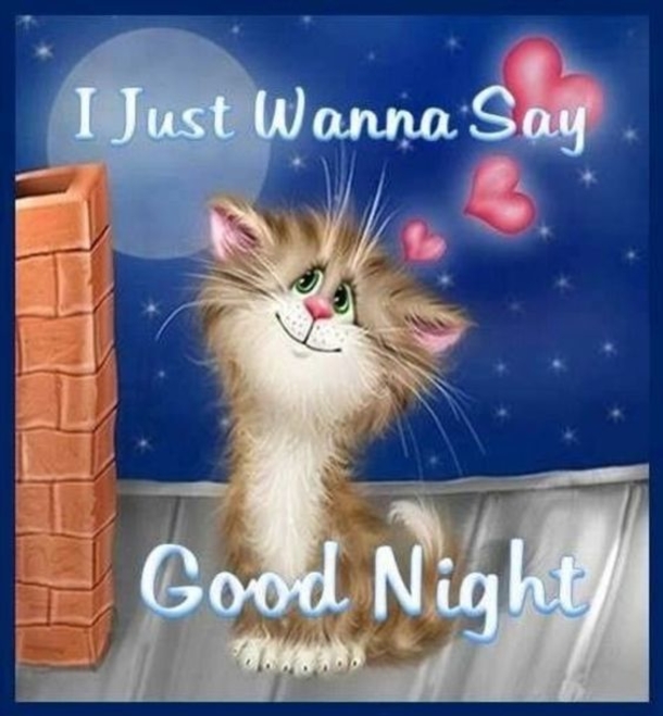 10 Precious Good Night Quotes, Images And Sayings - picture 6