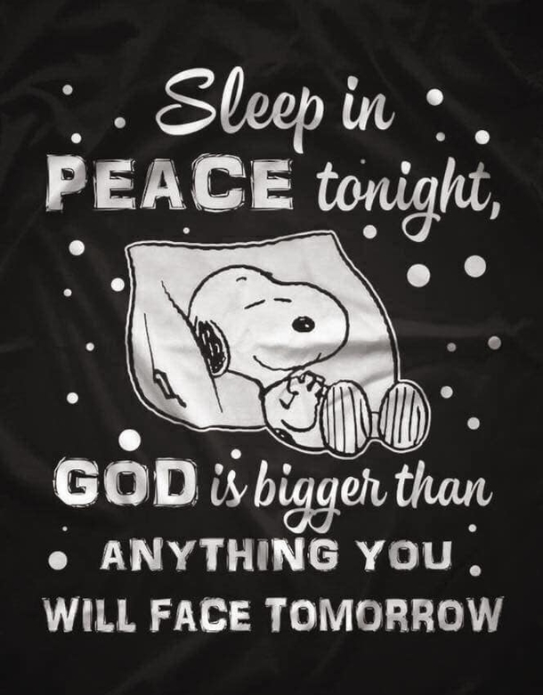 10 Precious Good Night Quotes, Sayings & Blessings - picture 10