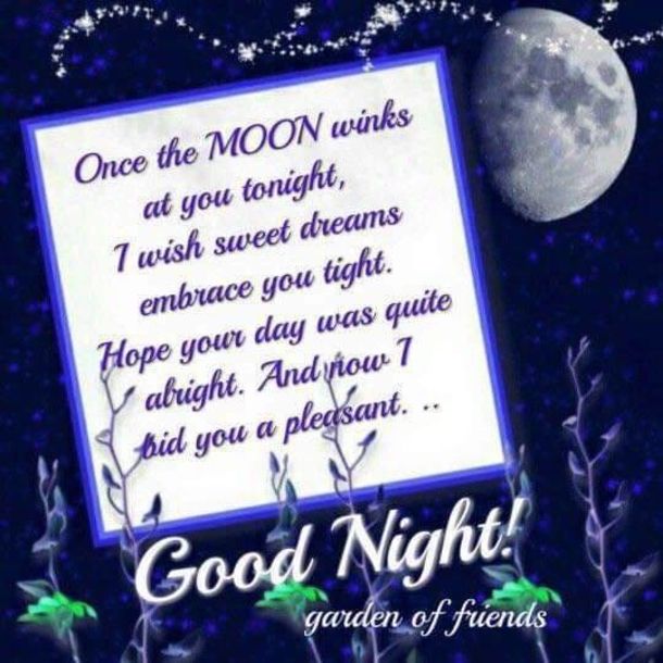 10 Precious Good Night Wishes For Family & Friends - picture 10