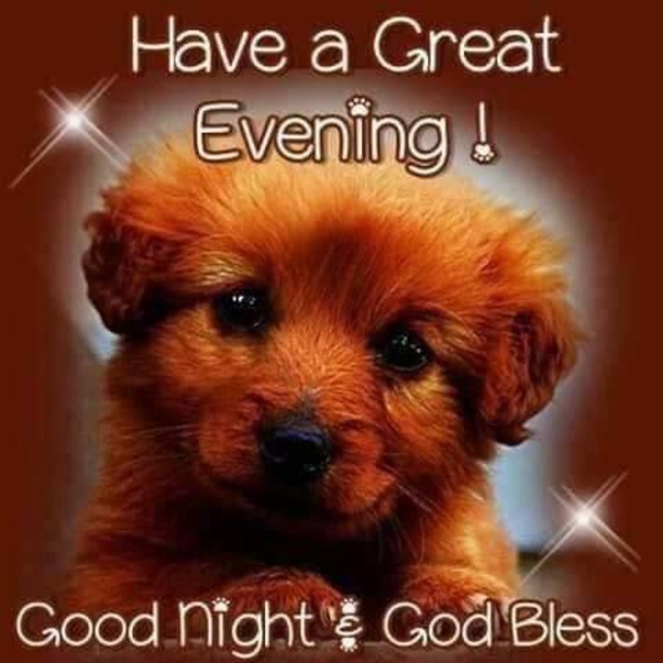 10 Precious Good Night Wishes For Family & Friends - picture 11