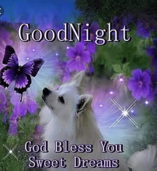 10 Precious Good Night Wishes For Family & Friends - picture 5