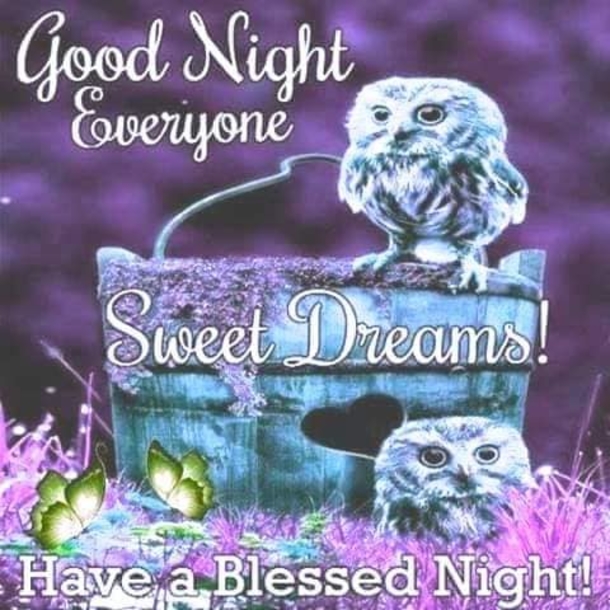 10 Precious Good Night Wishes For Family & Friends - picture 6