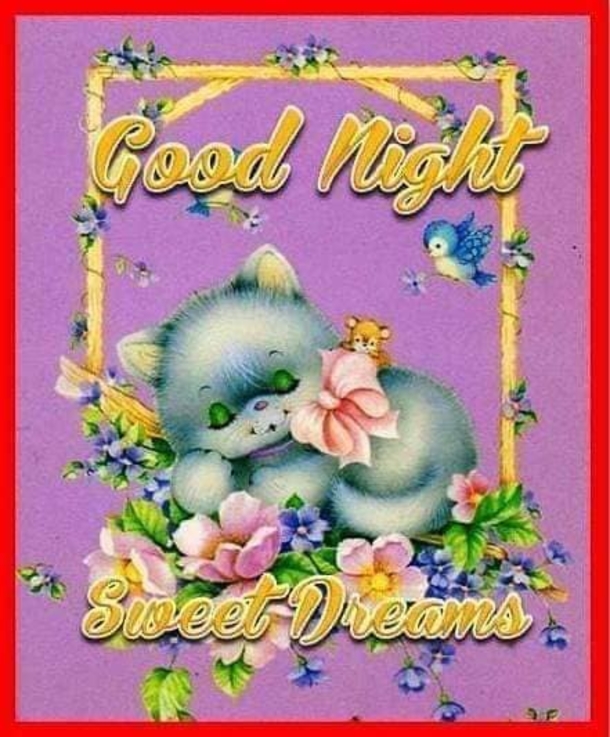 10 Precious Good Night Wishes For Family & Friends - picture 7