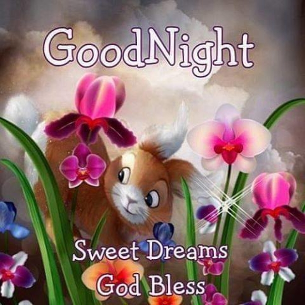 10 Precious Good Night Wishes For Family & Friends - picture 8