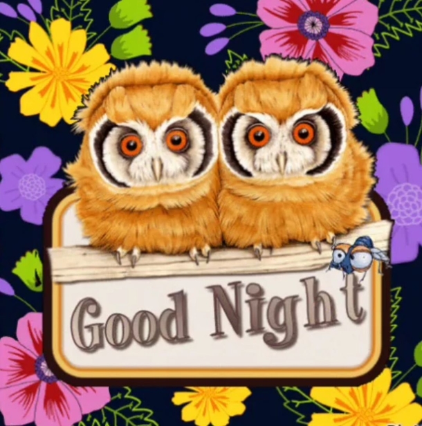 10 Precious Good Night Wishes To End The Night Beautifully - picture 3