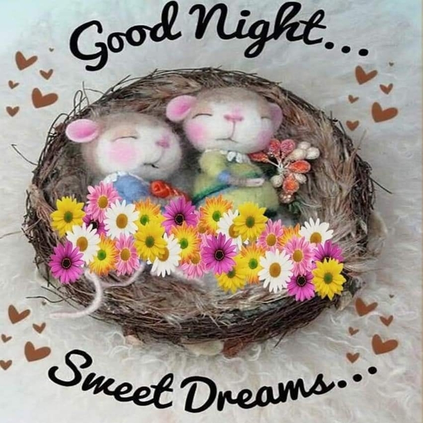10 Precious Good Night Wishes To End The Night Beautifully - picture 4