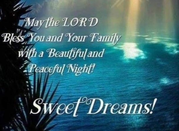 10 Precious Good Night Wishes To End The Night Beautifully - picture 9