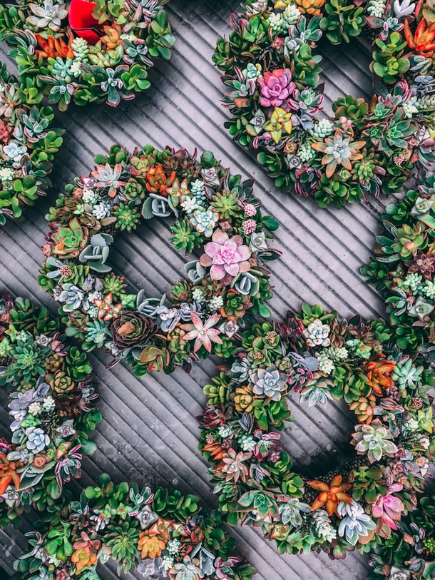 10+ Pretty Christmas Wreath Inspiration For Your Front Door - picture 7