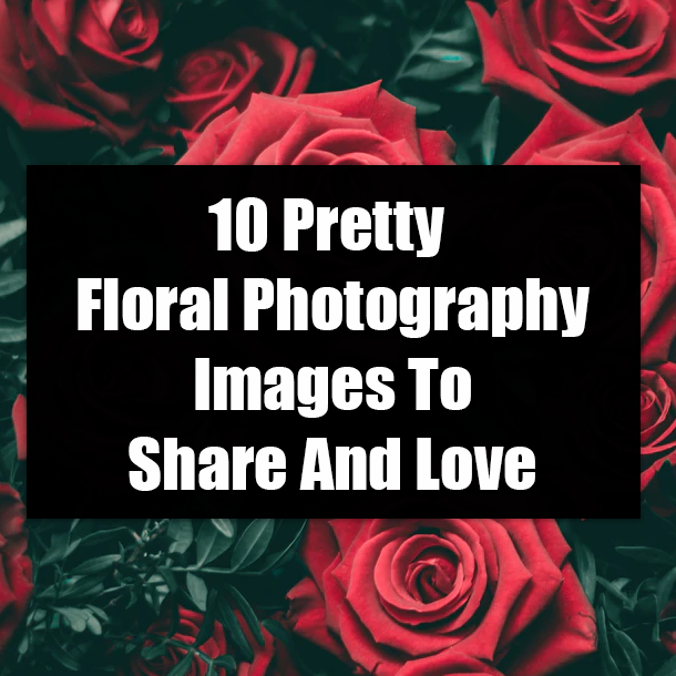 10 Pretty Floral Photography Images To Share And Love