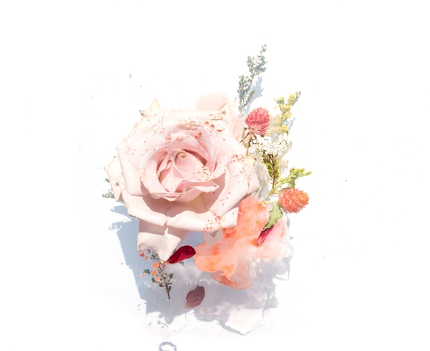 10 Pretty Floral Photography Images To Share And Love - picture 10