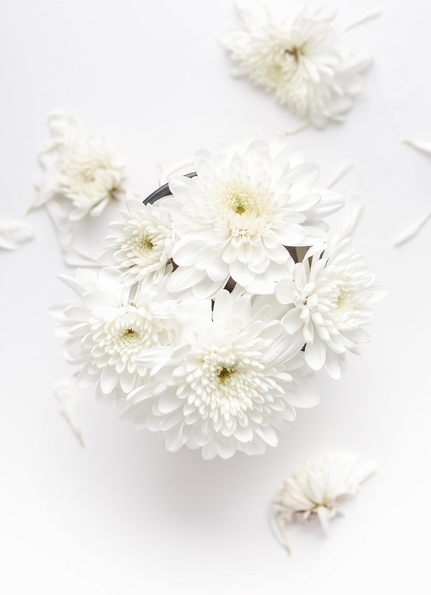 10 Pretty Floral Photography Images To Share And Love - picture 11