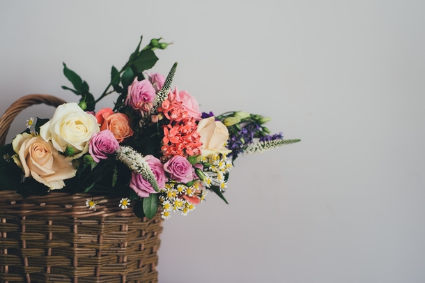 10 Pretty Floral Photography Images To Share And Love - picture 4