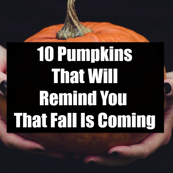 10 Pumpkins That Will Remind You That Fall Is Coming
