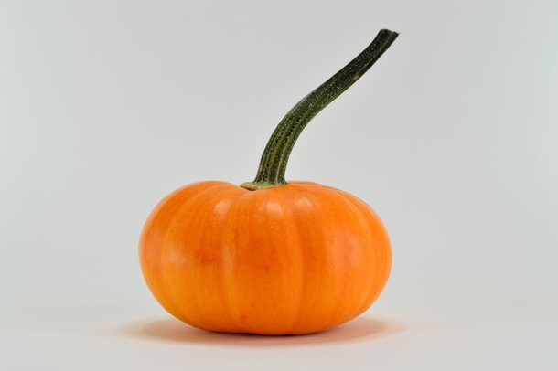 10 Pumpkins That Will Remind You That Fall Is Coming - picture 10